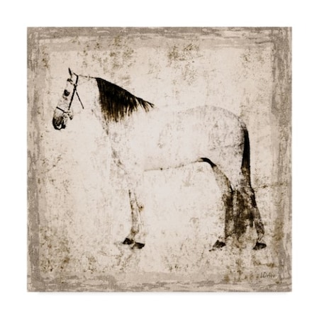 Irena Orlov 'White Horse Portrait Ii' Canvas Art,18x18